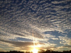 workshop flyer photo